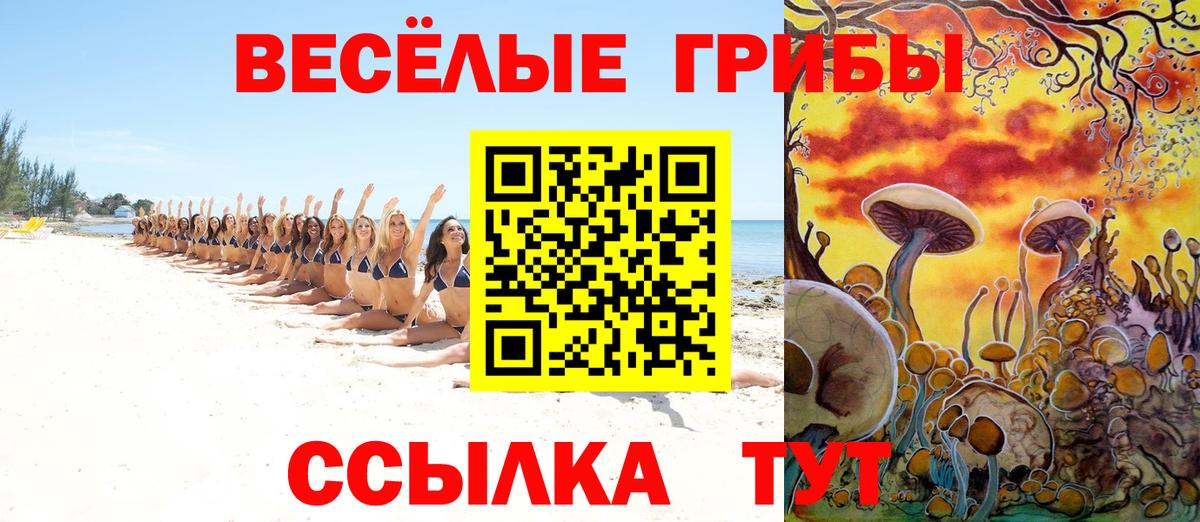 Псилоцибиновые грибы GOLDEN TEACHER  Псилоцибиновые грибы мицелий  Сокол  Вход с VPN 